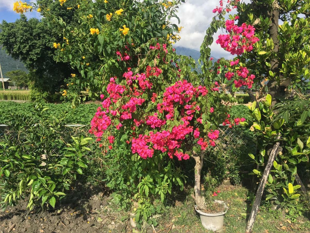 Bo Jue Farm Stay Ji'an Dış mekan fotoğraf